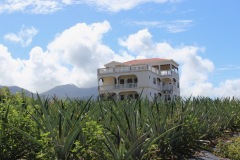 Approved-Property-StKitts-Nevis-Citizenship-by-Investment-Program-IMG_3325