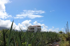 Approved-Property-StKitts-Nevis-Citizenship-by-Investment-Program-IMG_3327